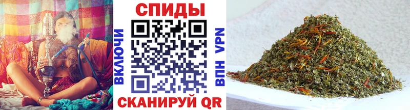 Бутират буратино  как найти   мега онион  Шагонар 