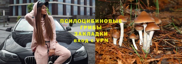 синтетический гашиш Балахна