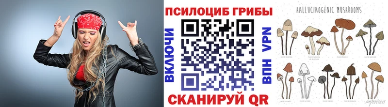 Псилоцибиновые грибы Psilocybe  MEGA зеркало  Шагонар  даркнет сайт 