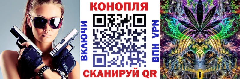 Бошки марихуана индика  Шагонар 